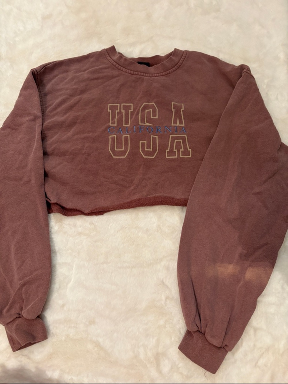 Urban Outfitters Cropped USA California Sweatshirt - Mauve